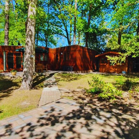 Wooden Nature Chalet - Dennenrhode Doornspijk Vila Exterior foto